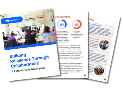 Guide Graphic - Resilience thorugh Collaboration - Cohort