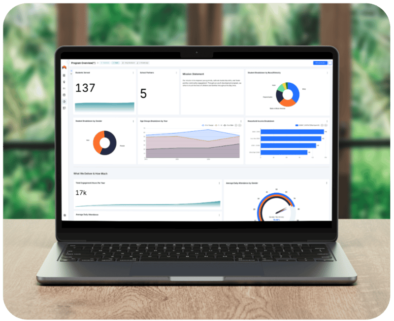 Nonprofit Dashboard - Rounded (1)-1